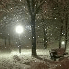 avatar_308.gif