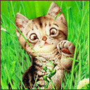 22.gif
