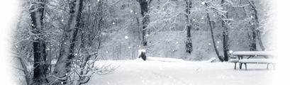 i56_245d79be27e7.gif