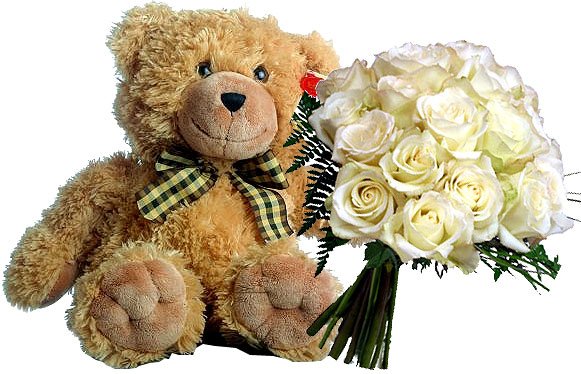 i95_teddy_flowers.jpg