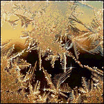 i59_3134.gif