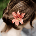 15f317e33be7.gif