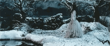 f4940a52657e.gif
