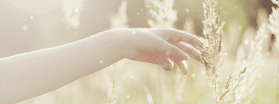 b643cd0c16b8.gif