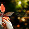 stockiconlove-011-024.png