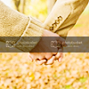 Stock-Season-Autumn-50.png