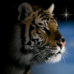 e1d90ca56891.gif