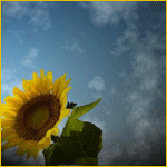 28d8285f94b8.gif