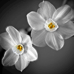 79f5a81ebaac.gif