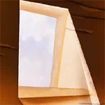 b74e75ab1344.gif