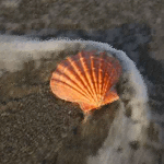 3728fa16dbcc.gif
