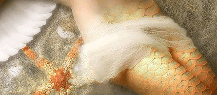 2091a3922d29.gif