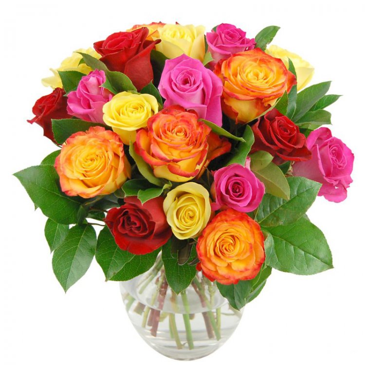 rainbow-roses-1.jpg
