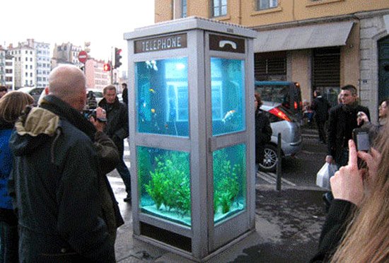 aquarium_phone_booth_front3.jpg