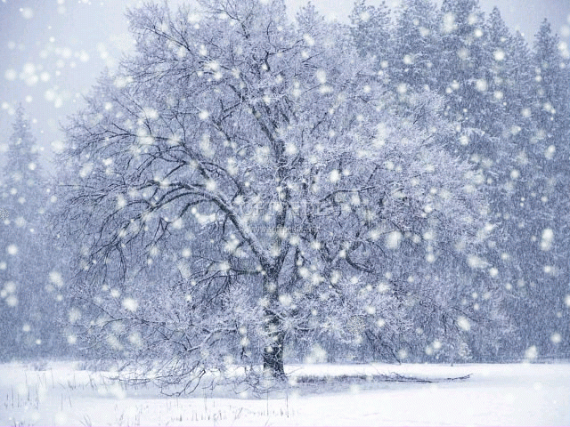 DX-Winter-Snow-Screensaver_1.PNG